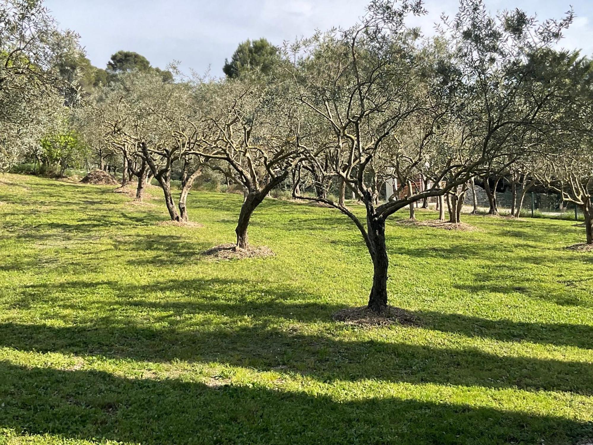 Mas La Floreline Cheval-Blanc Exteriör bild